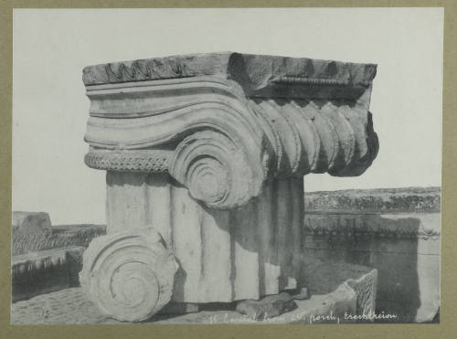 © Michael C. Carlos Museum, Emory University