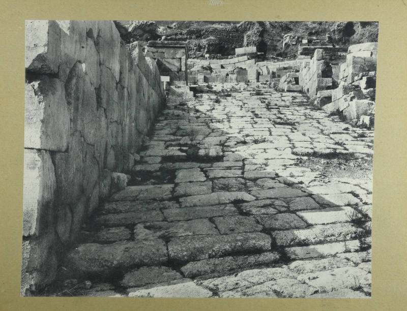 © Michael C. Carlos Museum, Emory University