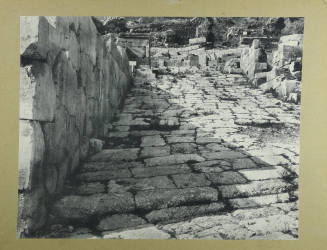 © Michael C. Carlos Museum, Emory University