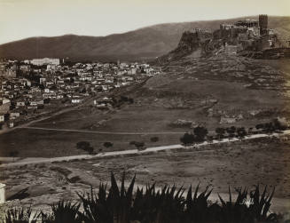© Michael C. Carlos Museum, Emory University