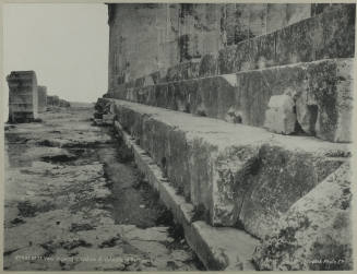 © Michael C. Carlos Museum, Emory University