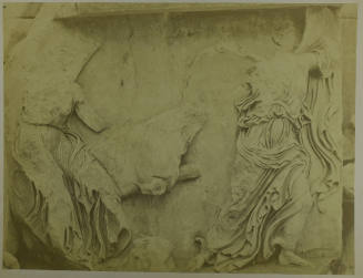 © Michael C. Carlos Museum, Emory University