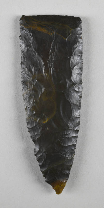 © Michael C. Carlos Museum, Emory University