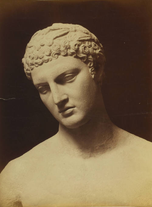 © Michael C. Carlos Museum, Emory University