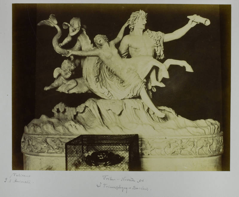 © Michael C. Carlos Museum, Emory University
