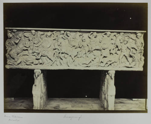 © Michael C. Carlos Museum, Emory University