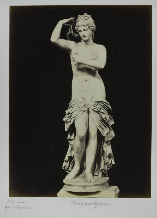 © Michael C. Carlos Museum, Emory University