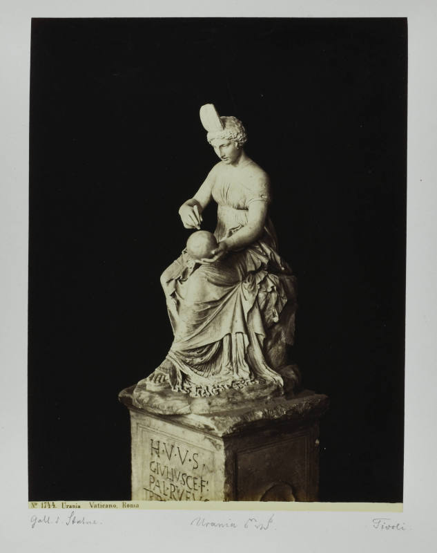 © Michael C. Carlos Museum, Emory University