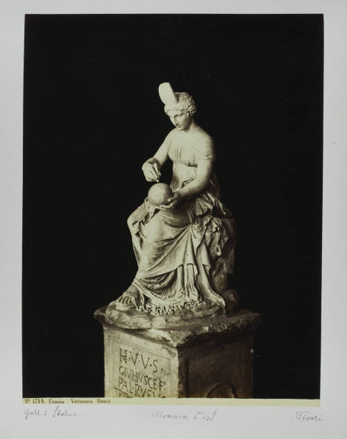 © Michael C. Carlos Museum, Emory University
