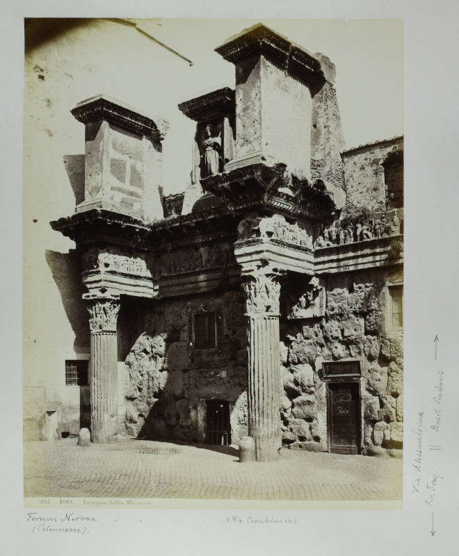 © Michael C. Carlos Museum, Emory University