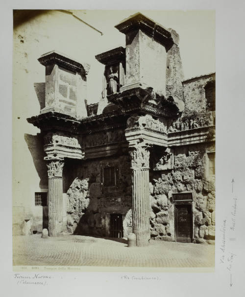 © Michael C. Carlos Museum, Emory University
