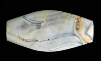 © Michael C. Carlos Museum, Emory University