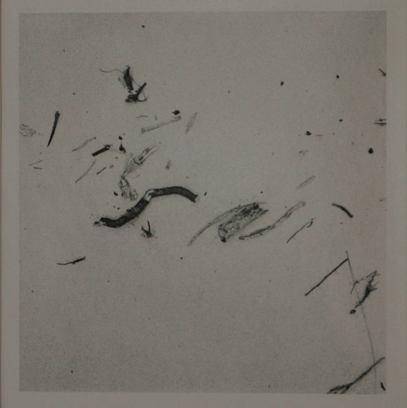 © Estate of Harry Callahan. Image courtesy of the Michael C. Carlos Museum, Emory University.