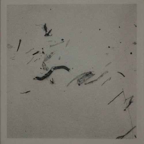 © Estate of Harry Callahan. Image courtesy of the Michael C. Carlos Museum, Emory University.