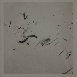 © Estate of Harry Callahan. Image courtesy of the Michael C. Carlos Museum, Emory University.