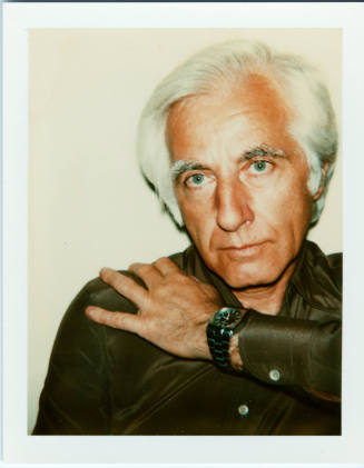 © The Andy Warhol Foundation for the Visual Arts.  Image courtesy Michael C. Carlos Museum, Emo ...