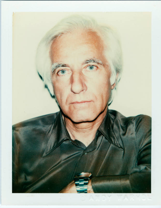 © The Andy Warhol Foundation for the Visual Arts.  Image courtesy Michael C. Carlos Museum, Emo ...