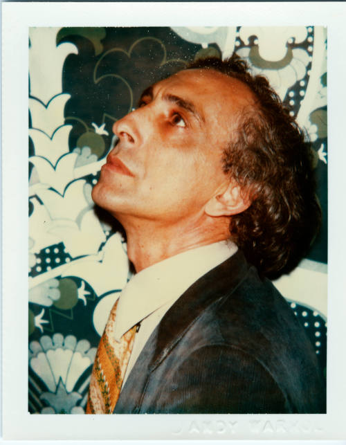 © The Andy Warhol Foundation for the Visual Arts.  Image courtesy Michael C. Carlos Museum, Emo ...