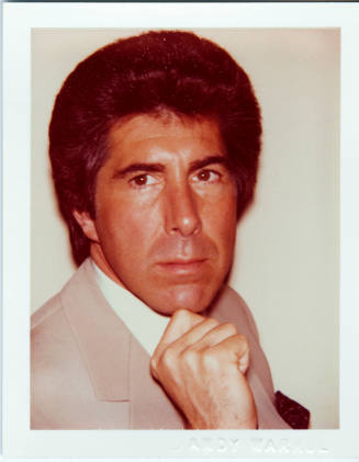 © The Andy Warhol Foundation for the Visual Arts.  Image courtesy Michael C. Carlos Museum, Emo ...