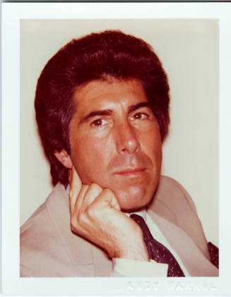 © The Andy Warhol Foundation for the Visual Arts.  Image courtesy Michael C. Carlos Museum, Emo ...