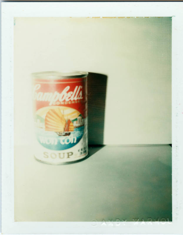 © The Andy Warhol Foundation for the Visual Arts.  Image courtesy Michael C. Carlos Museum, Emo ...