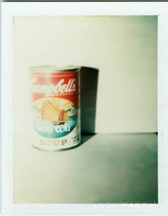 © The Andy Warhol Foundation for the Visual Arts.  Image courtesy Michael C. Carlos Museum, Emo ...