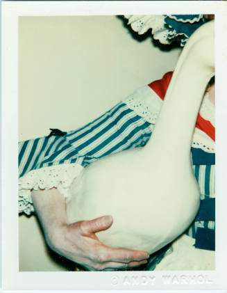 © The Andy Warhol Foundation for the Visual Arts.  Image courtesy Michael C. Carlos Museum, Emo ...