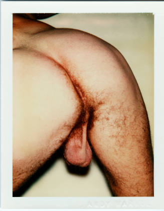© The Andy Warhol Foundation for the Visual Arts.  Image courtesy Michael C. Carlos Museum, Emo ...
