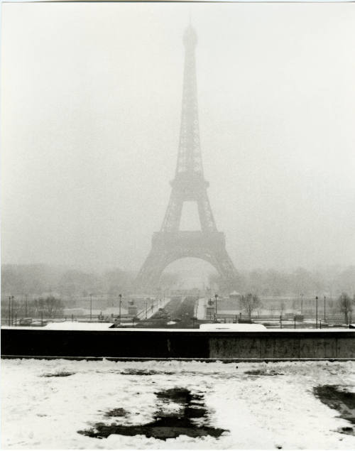© The Andy Warhol Foundation for the Visual Arts.  Image courtesy Michael C. Carlos Museum, Emo ...