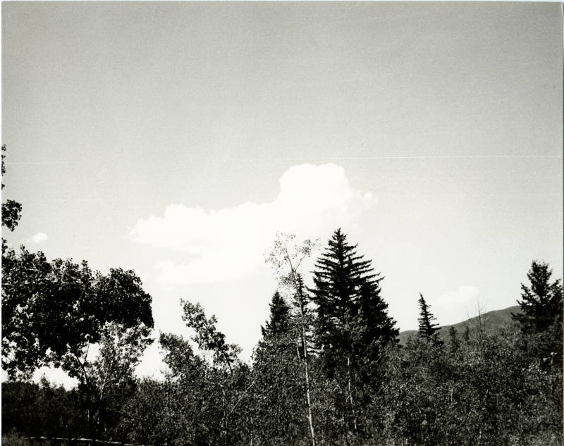 © The Andy Warhol Foundation for the Visual Arts.  Image courtesy Michael C. Carlos Museum, Emo ...
