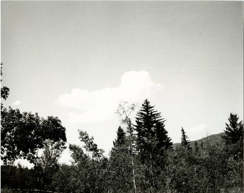 © The Andy Warhol Foundation for the Visual Arts.  Image courtesy Michael C. Carlos Museum, Emo ...