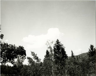 © The Andy Warhol Foundation for the Visual Arts.  Image courtesy Michael C. Carlos Museum, Emo ...