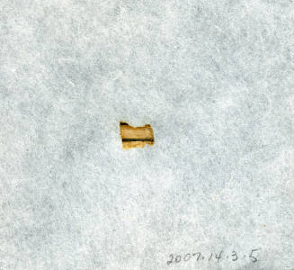 © Michael C. Carlos Museum, Emory University