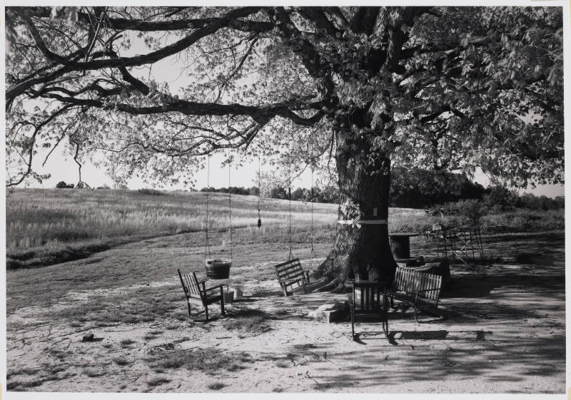 © John McWilliams.  Image © Bruce M. White, 2009.