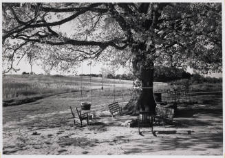 © John McWilliams.  Image © Bruce M. White, 2009.