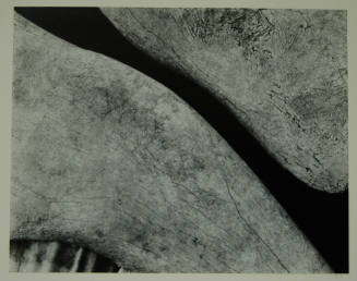 © Michael A. Smith Estate.  Image courtesy Michael C. Carlos Museum, Emory University.