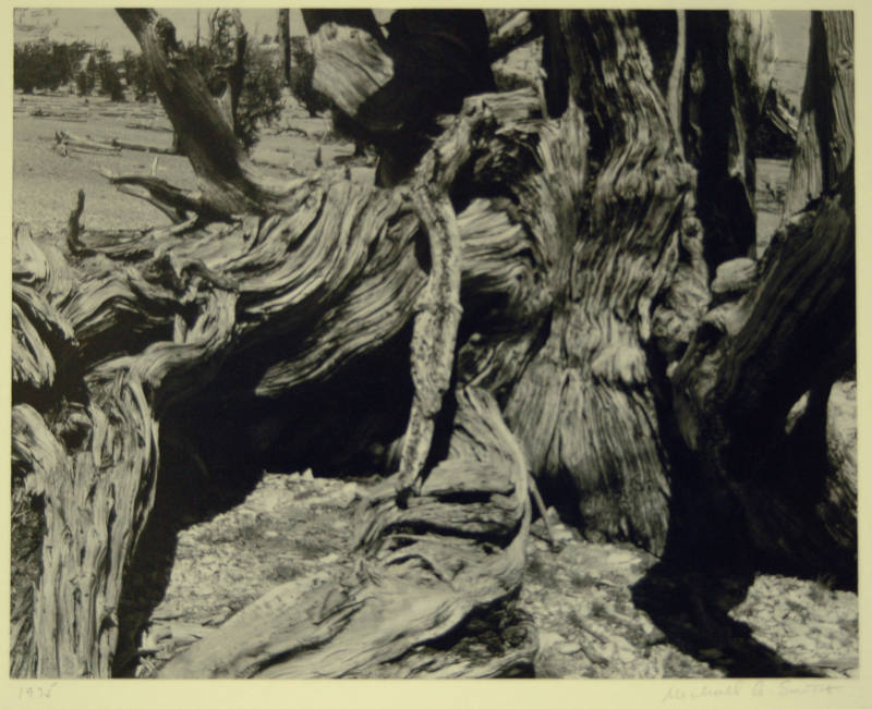 © Michael A. Smith Estate.  Image courtesy Michael C. Carlos Museum, Emory University.