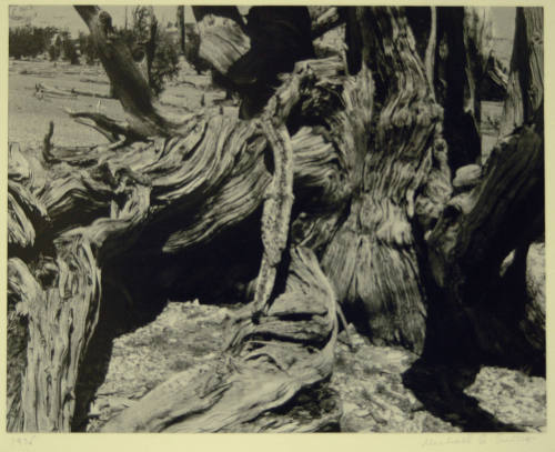 © Michael A. Smith Estate.  Image courtesy Michael C. Carlos Museum, Emory University.