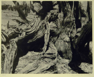 © Michael A. Smith Estate.  Image courtesy Michael C. Carlos Museum, Emory University.