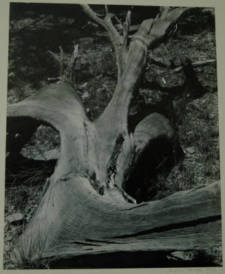 © Michael A. Smith Estate.  Image courtesy Michael C. Carlos Museum, Emory University.