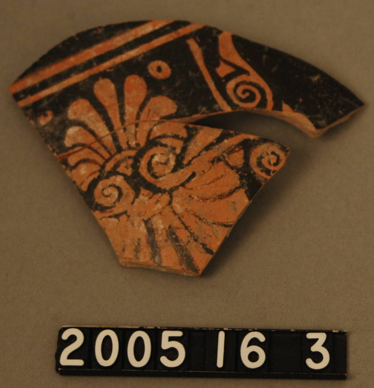 © Michael C. Carlos Museum, Emory University