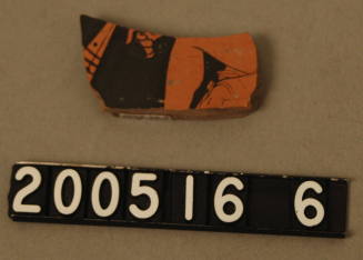 © Michael C. Carlos Museum, Emory University