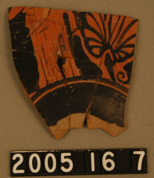 © Michael C. Carlos Museum, Emory University