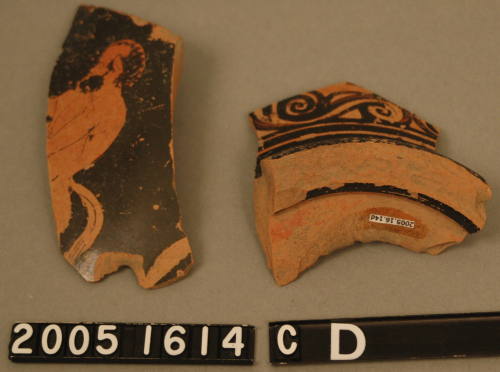 © Michael C. Carlos Museum, Emory University