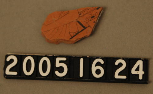 © Michael C. Carlos Museum, Emory University