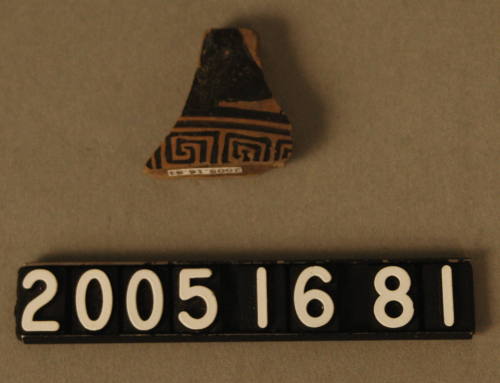 © Michael C. Carlos Museum, Emory University