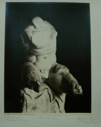 © Michael C. Carlos Museum, Emory University