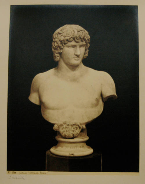 © Michael C. Carlos Museum, Emory University