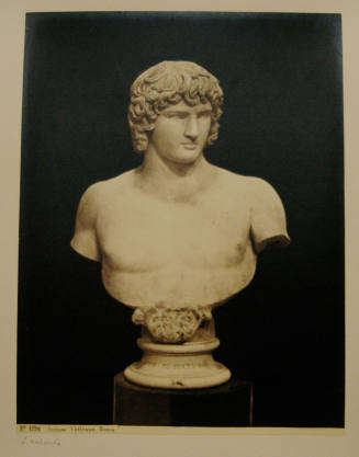 © Michael C. Carlos Museum, Emory University