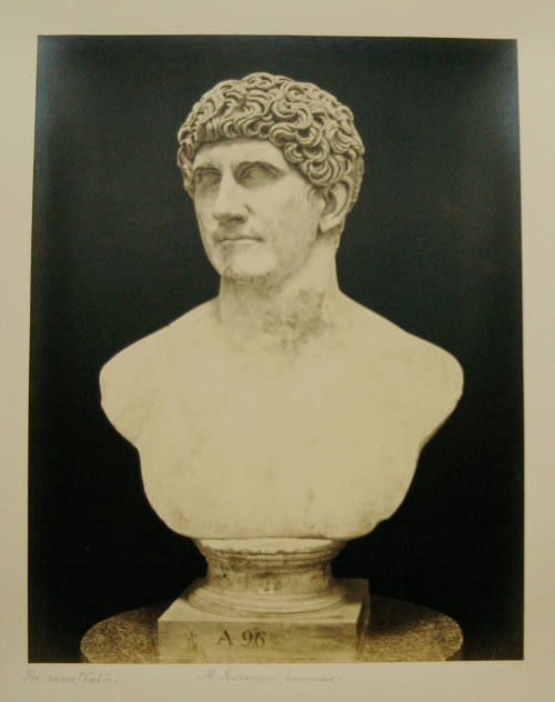 © Michael C. Carlos Museum, Emory University